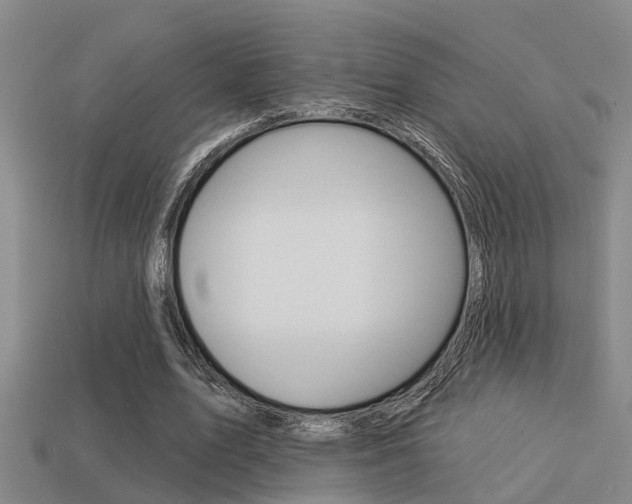 X0000113340583200909151007