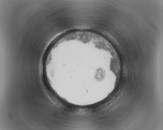 X0000113340584200909151007
