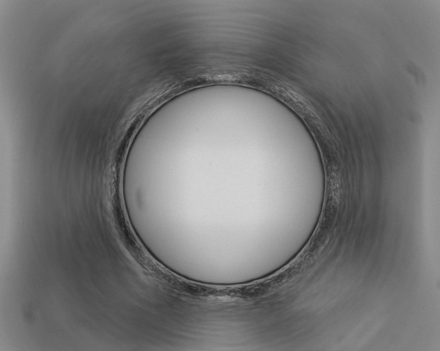 X0000113340586200909151007