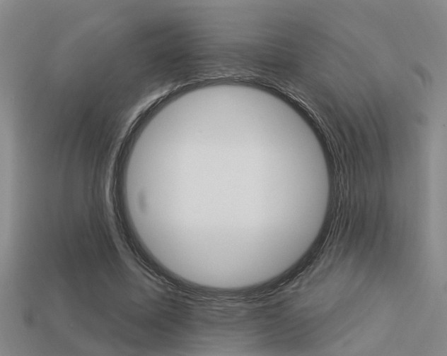 X0000113340587200909151007