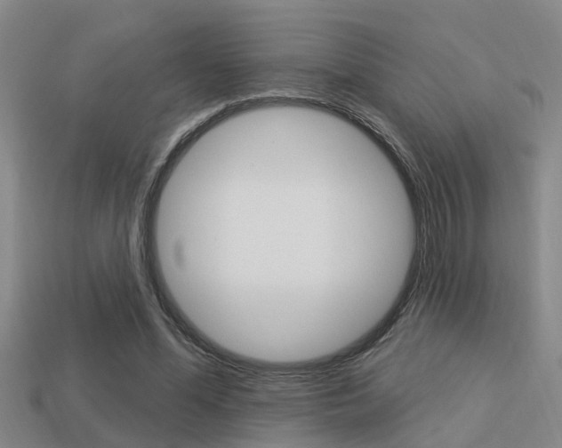 X0000113340588200909151007