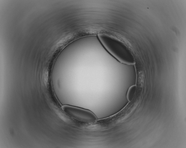 X0000113340589200909151007