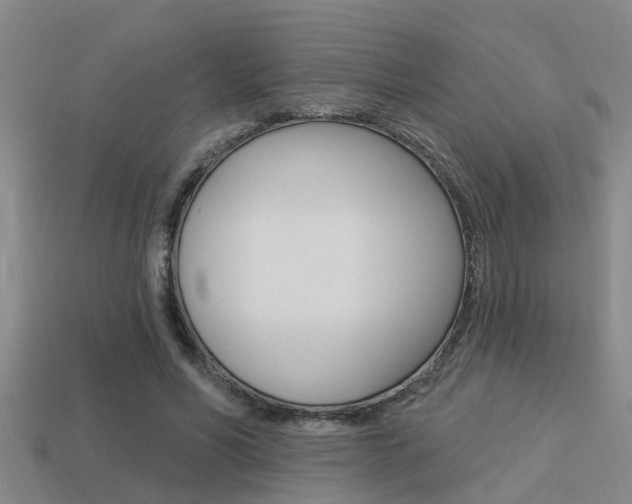 X0000113340590200909151007