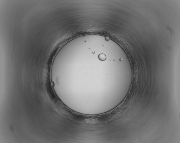 X0000113340591200909151007