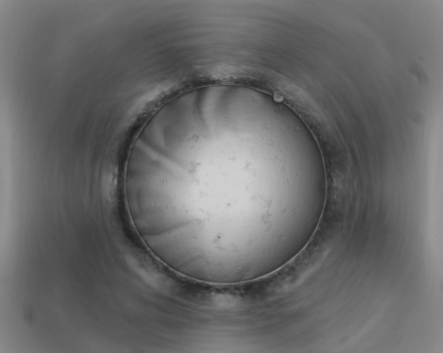 X0000113340592200909151007