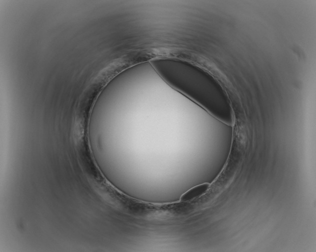 X0000113340593200909151007