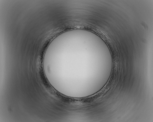 X0000113340594200909151007