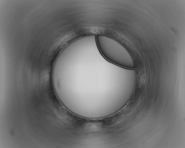 X0000113340595200909151007