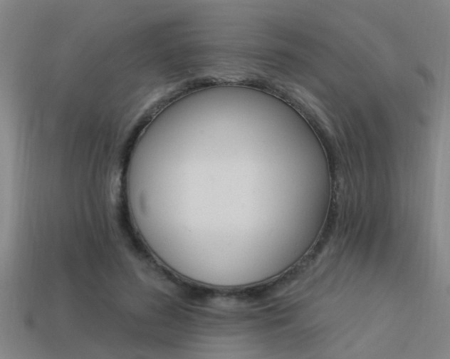 X0000113340596200909151007