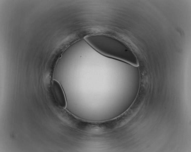 X0000113340597200909151007