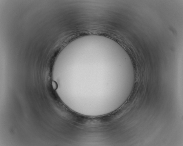 X0000113340599200909151007