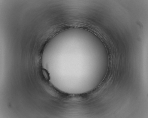 X0000113340601200909151007