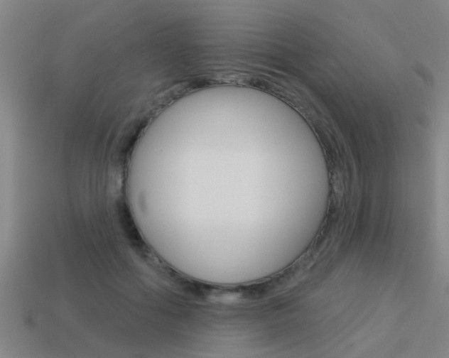 X0000113340602200909151007