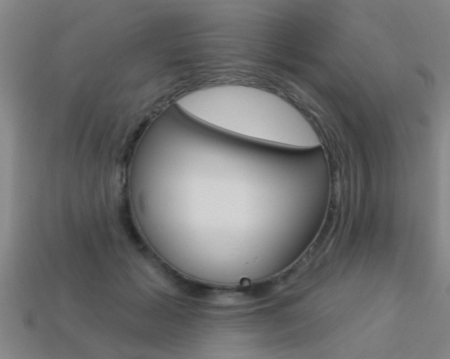 X0000113340605200909151007