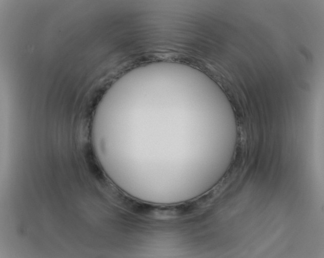 X0000113340606200909151007