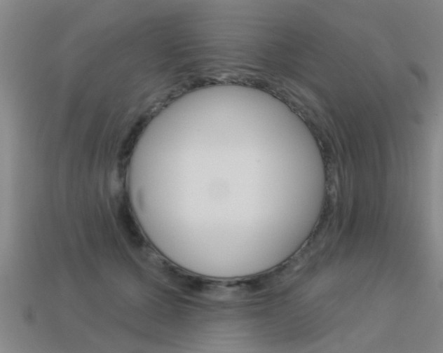X0000113340607200909151007