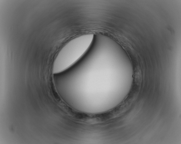 X0000113340608200909151007