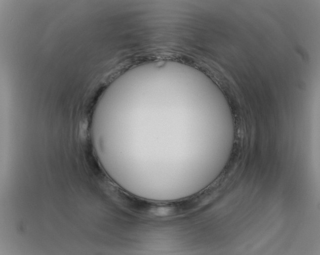 X0000113340610200909151007