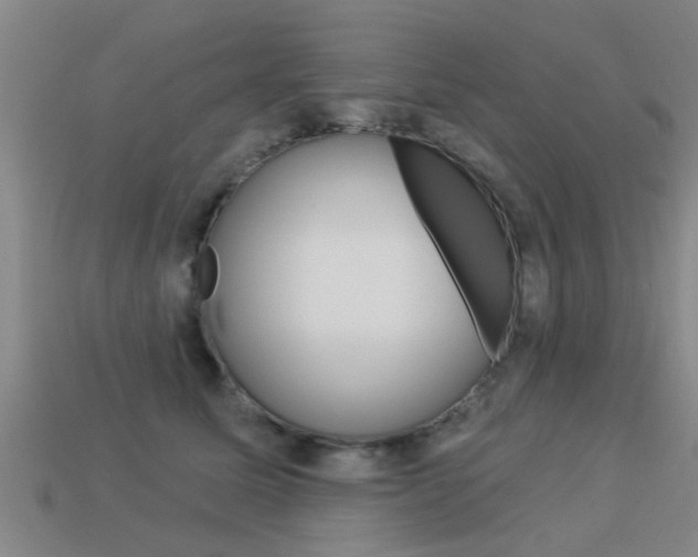 X0000113340611200909151007