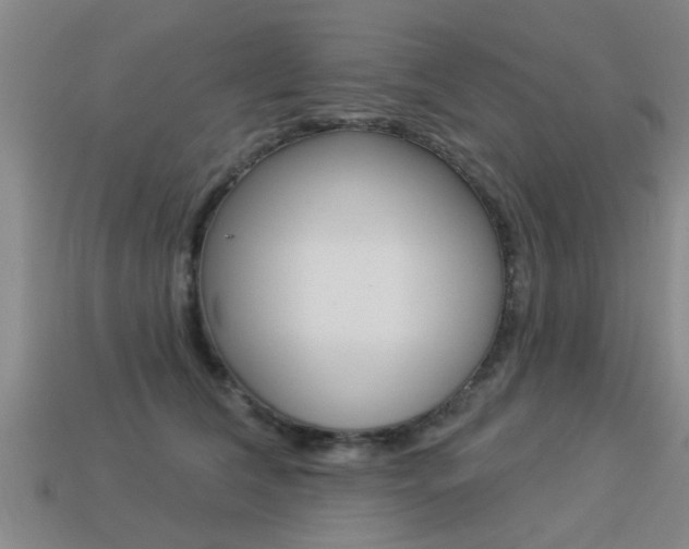 X0000113340612200909151007