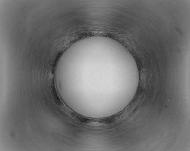 X0000113340614200909151007
