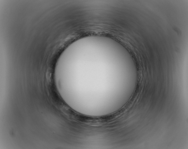 X0000113340615200909151007