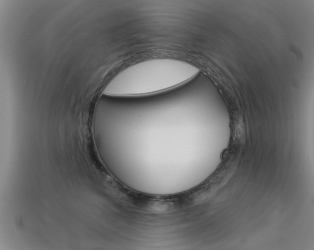 X0000113340616200909151007