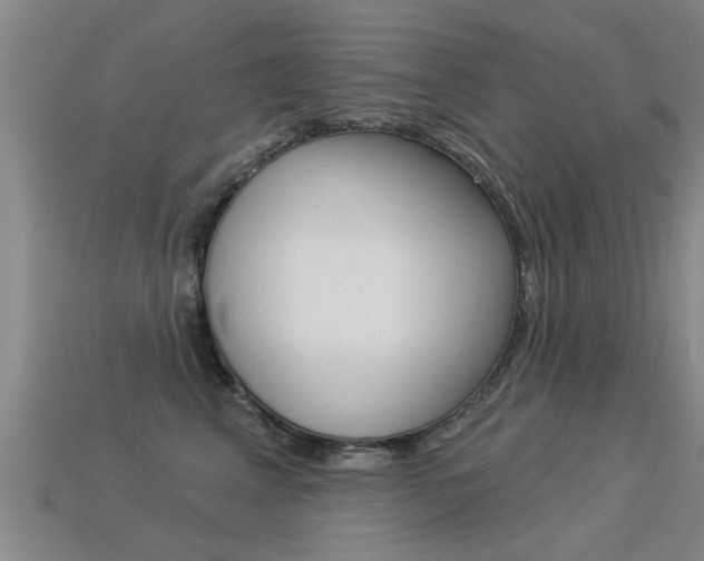 X0000113340617200909151007