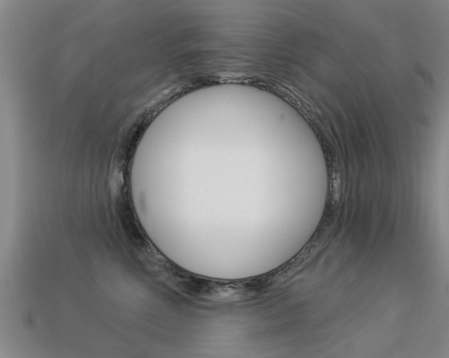 X0000113340618200909151007