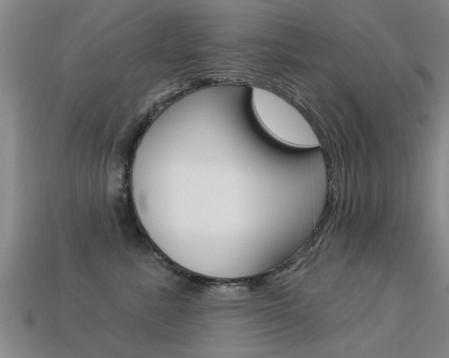 X0000113340619200909151007