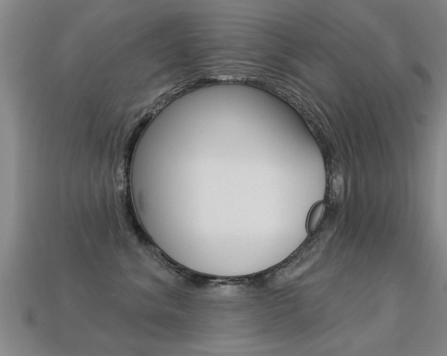 X0000113340620200909151007