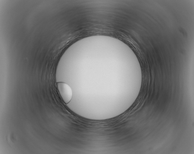 X0000113340621200909151007