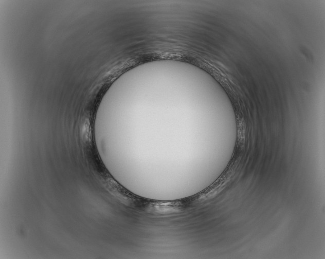 X0000113340622200909151007