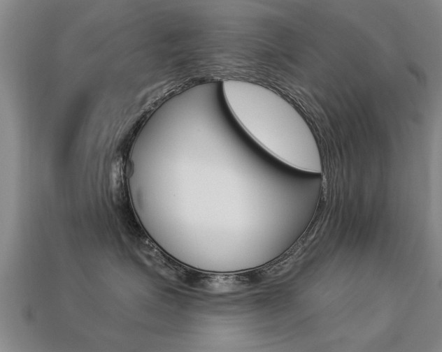 X0000113340623200909151007