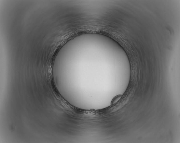 X0000113340624200909151007