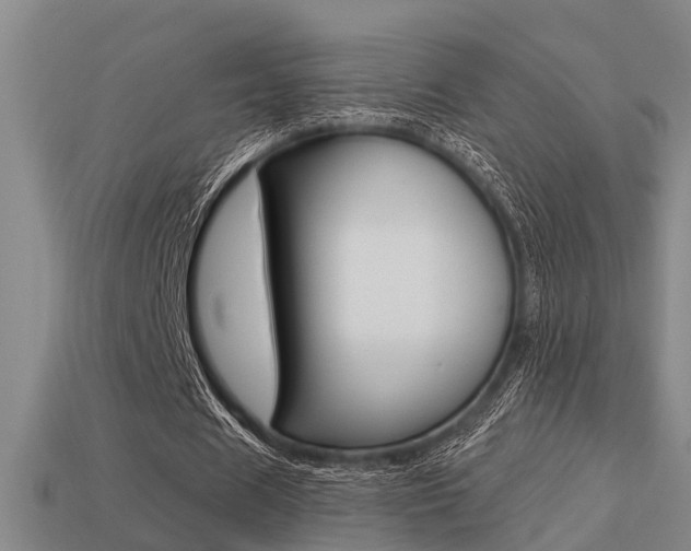X0000113340625200909151006