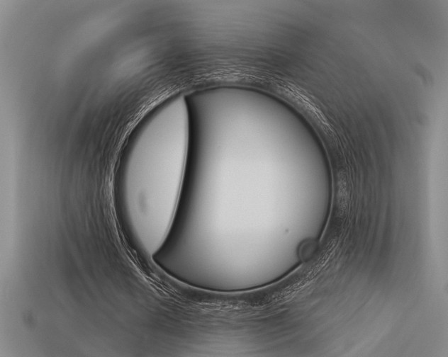 X0000113340626200909151006