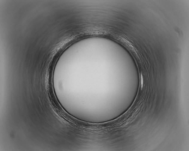 X0000113340627200909151006