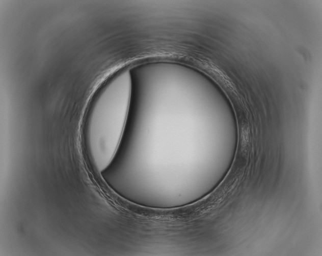 X0000113340628200909151006