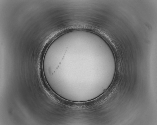 X0000113340629200909151006
