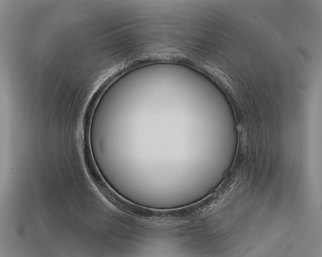 X0000113340630200909151006