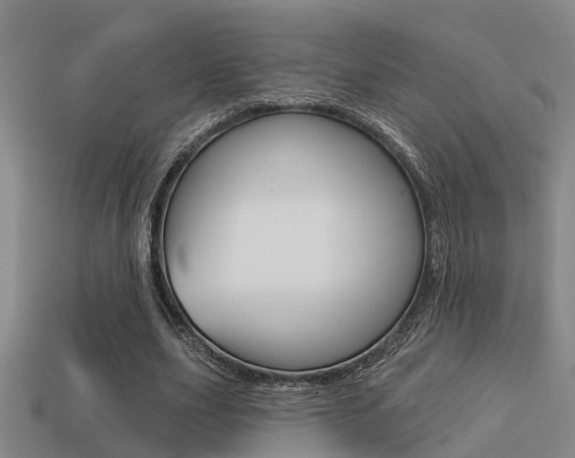 X0000113340631200909151006