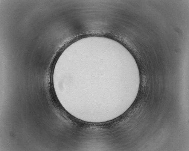 X0000113340632200909151006