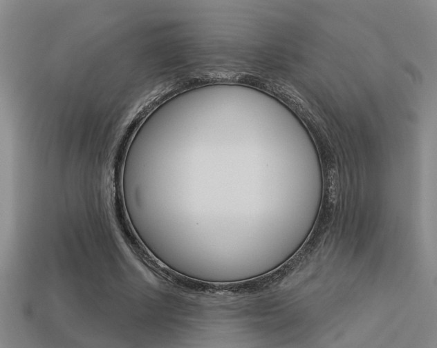 X0000113340634200909151006