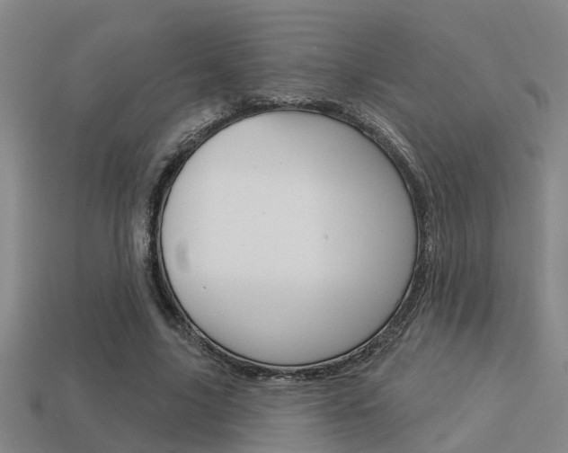 X0000113340635200909151006