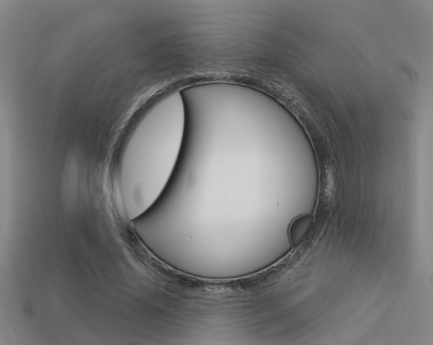X0000113340636200909151006