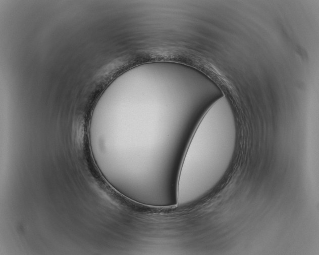 X0000113340637200909151006