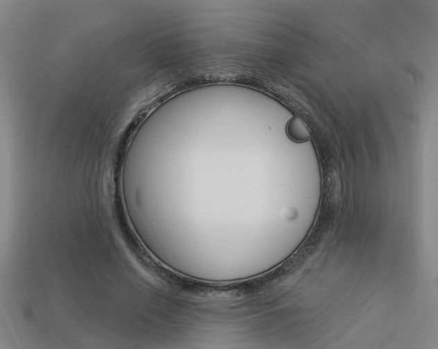 X0000113340638200909151006