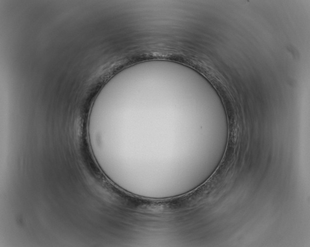 X0000113340639200909151006