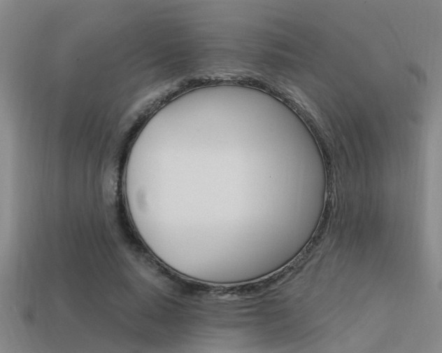 X0000113340640200909151006